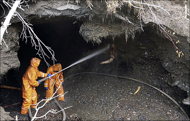 挖掘猛犸象骸骨,史前猛犸象遗骨
