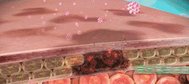 25岁脸上有斑用什么平价护肤品,脸上有斑气色差用什么护肤品