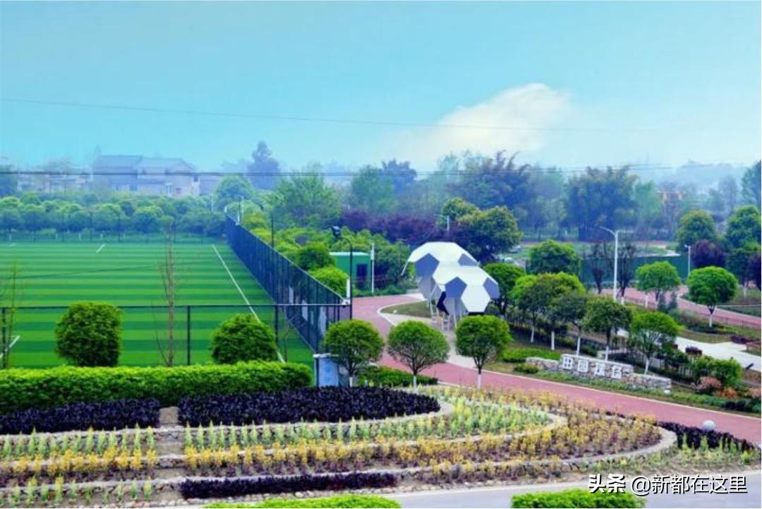 新都乘坐地铁,新都怎么乘坐公交车便宜点