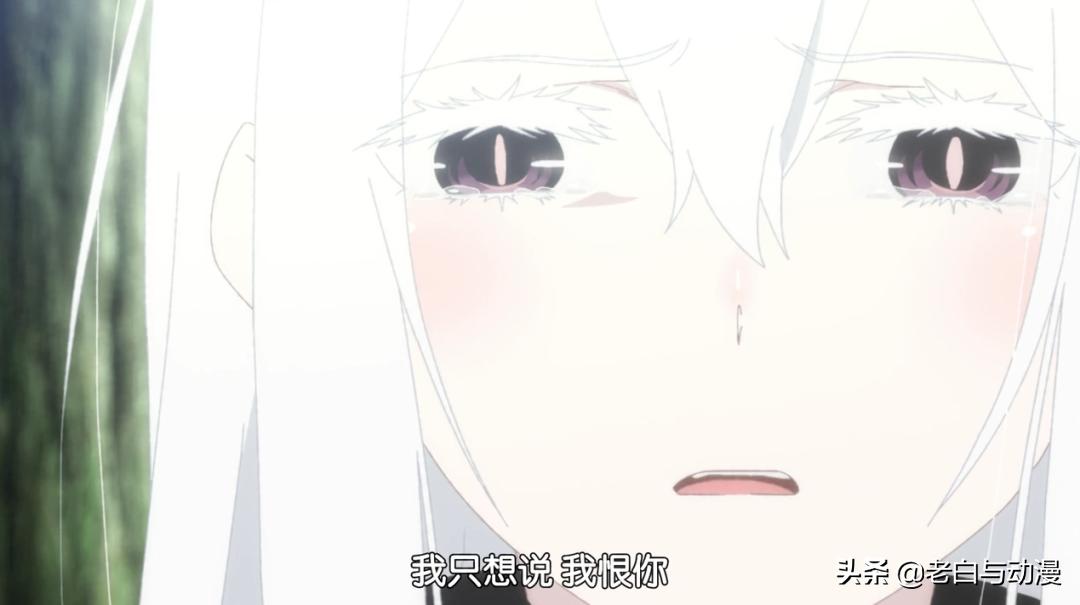 爱蜜莉雅和艾姬多娜的关系,艾姬多娜和爱蜜莉雅什么关系