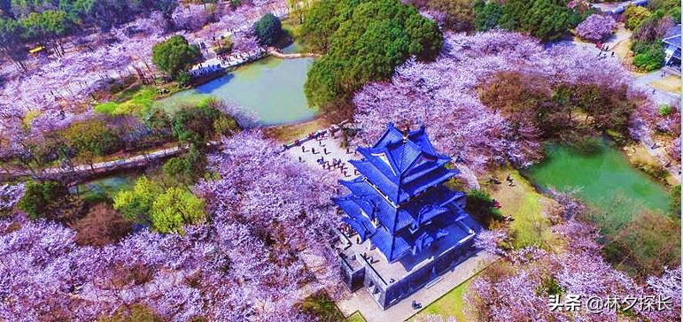太湖明珠城市名单,太湖明珠哪个城市最好
