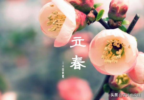 一年两立春是什么年,2022年立春和春节分别是哪一天