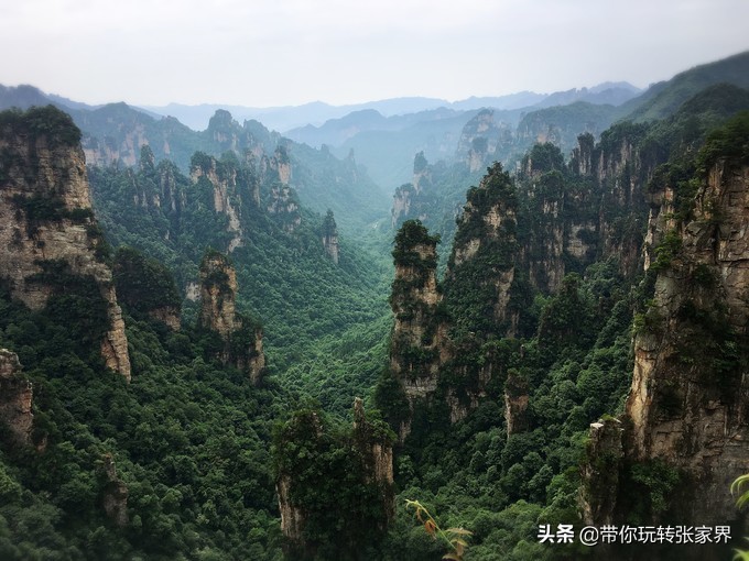到张家界天门山自助游价格多少钱,武汉到张家界天门山三日游