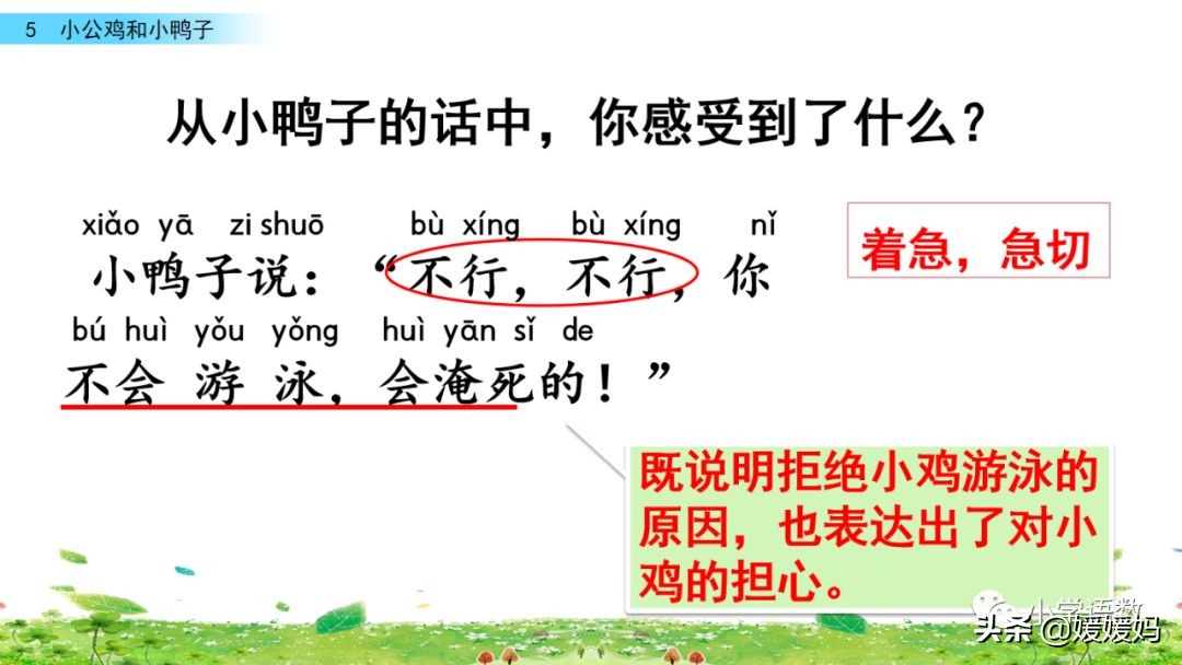 一年级下小公鸡和小鸭子课文重点,小公鸡和小鸭子一年级下册视频