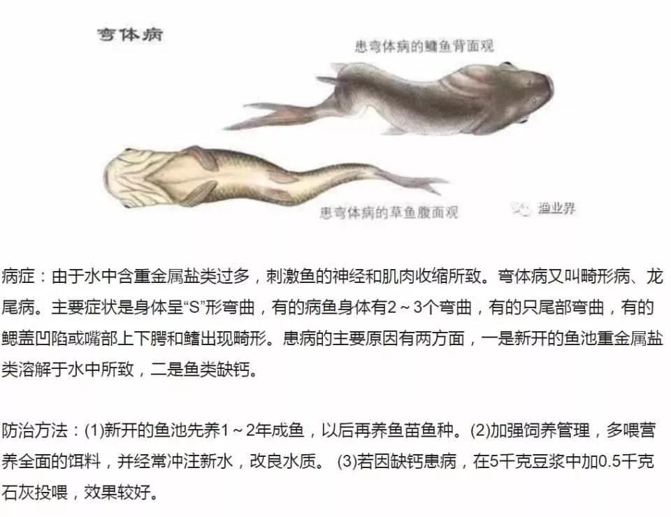 畸形的鱼吃了有什么危害,畸形鱼是怎么回事