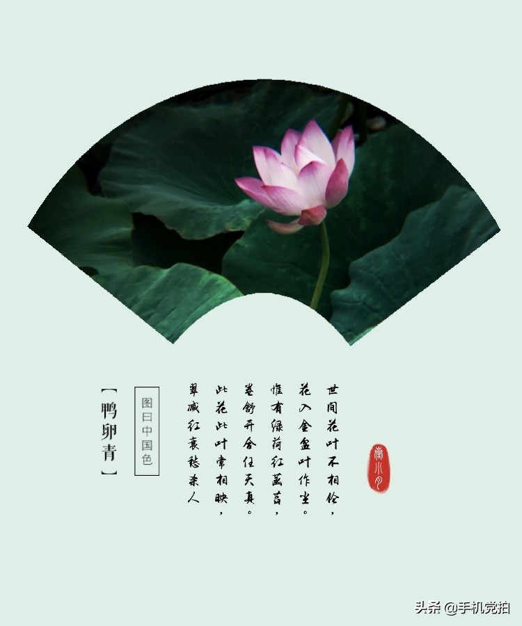 手机图片怎么添加中式印章,如何给图片加字印章