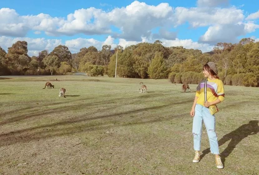 澳洲堪培拉景色,澳洲堪培拉动物园