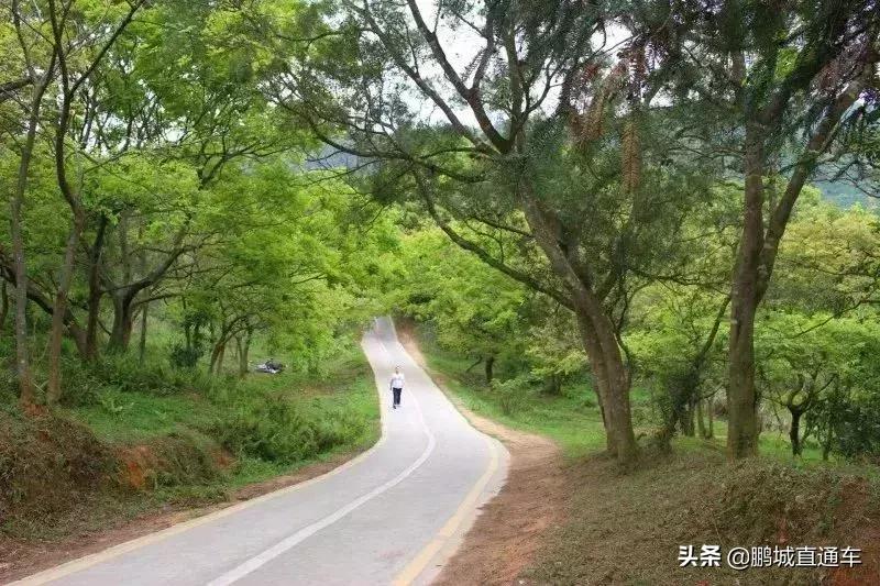 深圳60个最适合一日免费景点,暑假深圳旅游必去十大景点