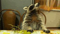 超级搞笑gif图,超好笑gif图