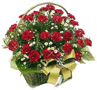 5201314，送你999玫瑰花，祝你爱情甜甜蜜蜜