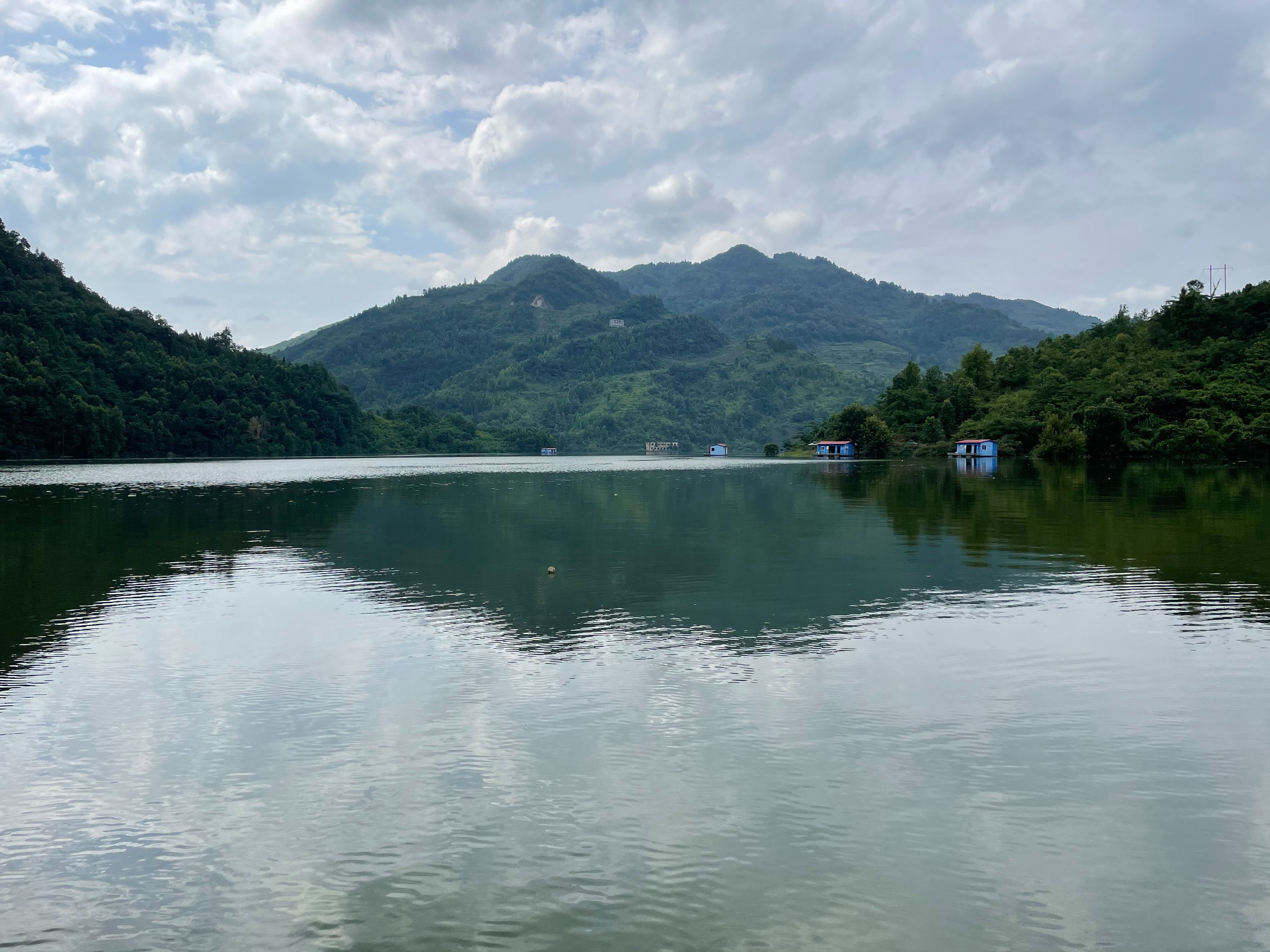 高位池养殖生态鱼,零网箱养生态鱼