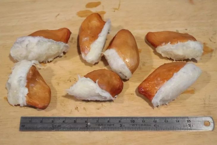 昂贵榴莲吃个够,榴莲的成长过程盆栽