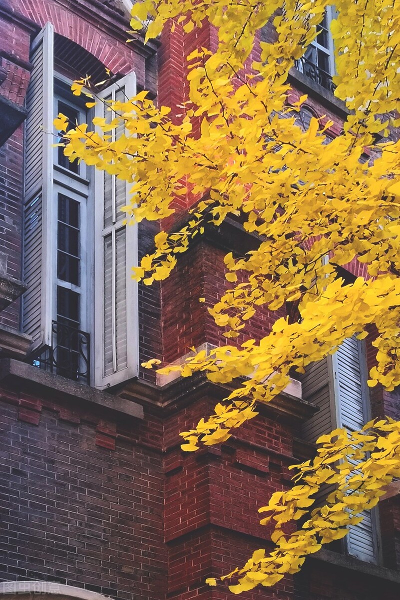 上海市徐汇区学校,上海市徐汇中学