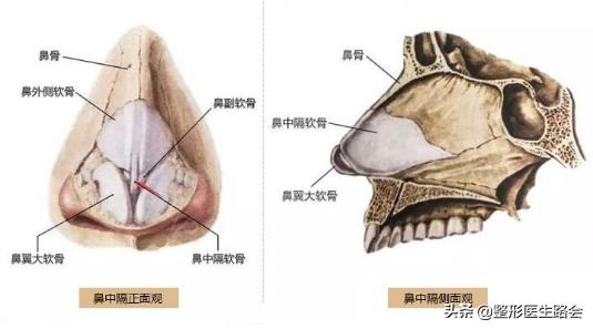 隆鼻要慎重拒绝跟风整形,鼻中隔软骨隆鼻手术后能维持多久