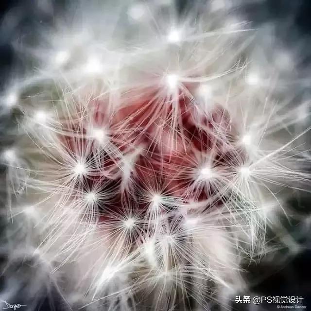 日常照片后期一定要用ps吗,摄影后期修图用ps什么版本