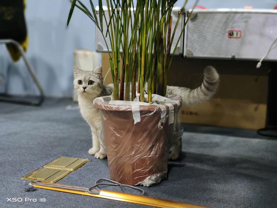 vivoX50Pro评测，微云台玩出手机摄影新高度，值不值得买看需求