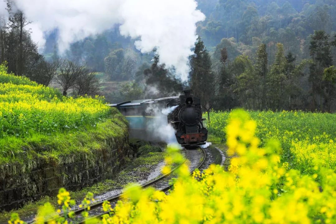 全世界唯一在运行的蒸汽小火车,经典窄轨蒸汽机车