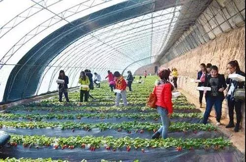 辽源东丰县五一游,辽源十一周边一日游的绝佳去处