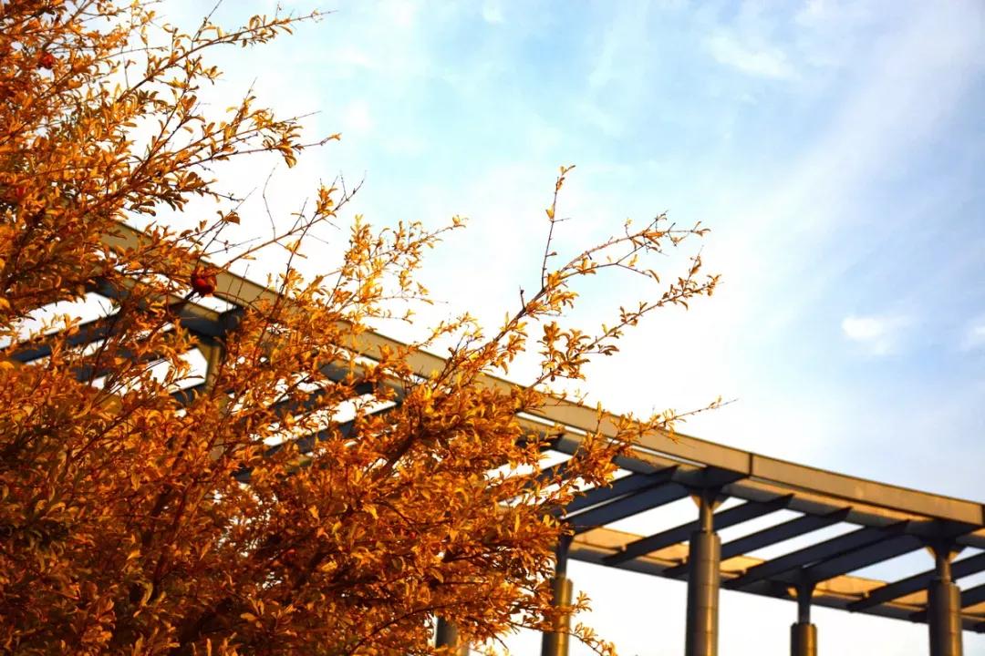 天津市普通高等院校,天津师范高等专科学校