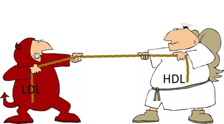 「最新」美国儿科学会：吃鱼、服用鱼油/DHA的利与弊