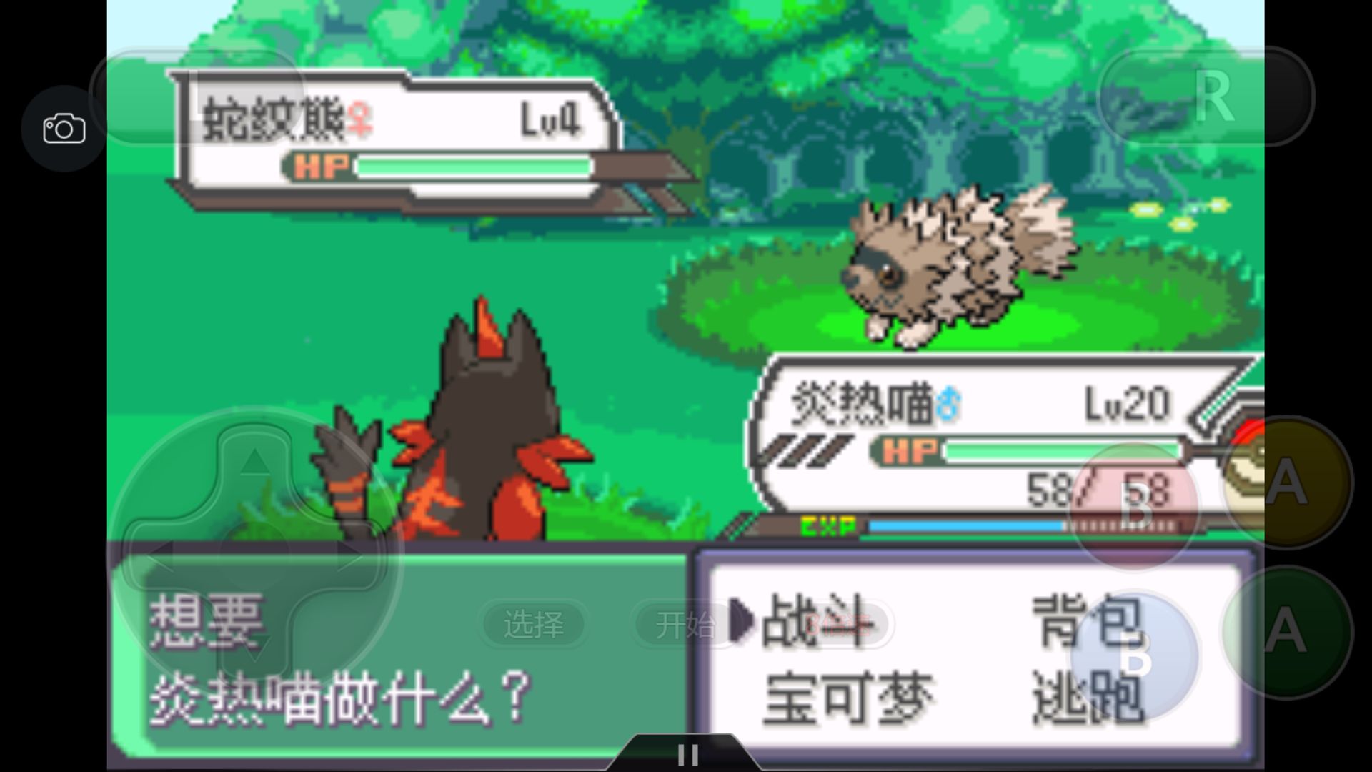 究极绿宝石3一周目完整图文攻略,究极绿宝石5一周目攻略