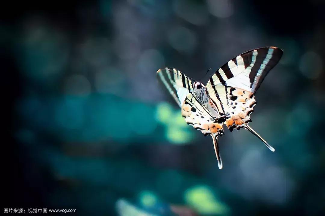 富有人生哲理的短文阅读,影响一生的100个哲理故事有哪些