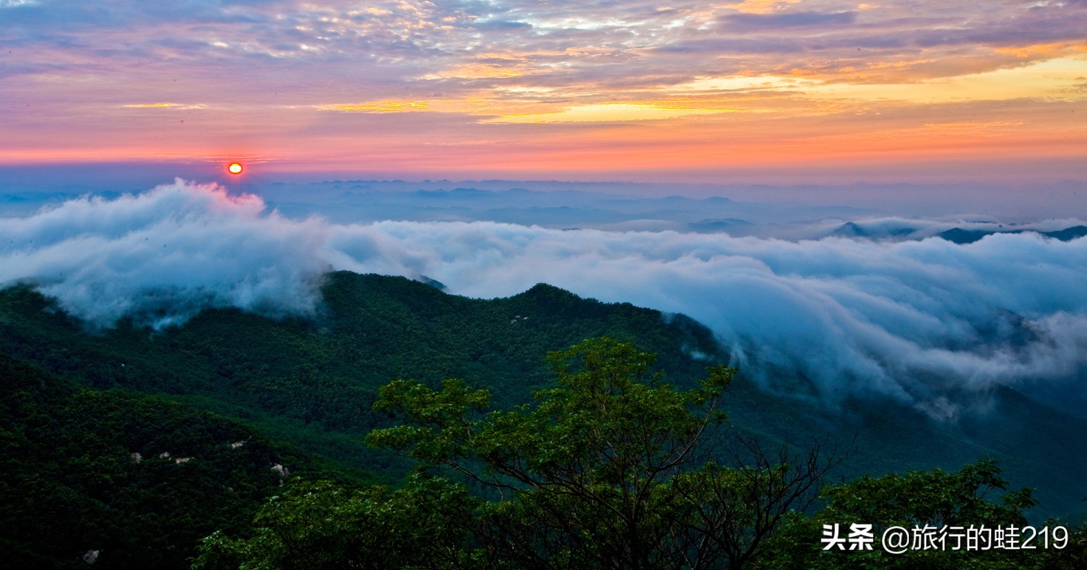 山东潍坊周边城市,山东最不服管的县级市滕州市