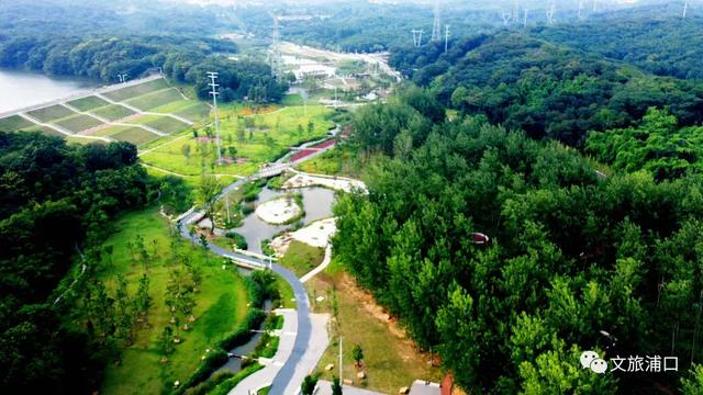 江北这条大道，被美到了！