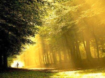 小学作文技巧总结十大要点怎么写,作文语录怎么写好