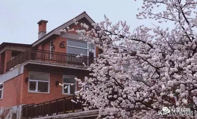 大连海边民宿排行榜前十名,大连旅游选择什么民宿方便又便宜