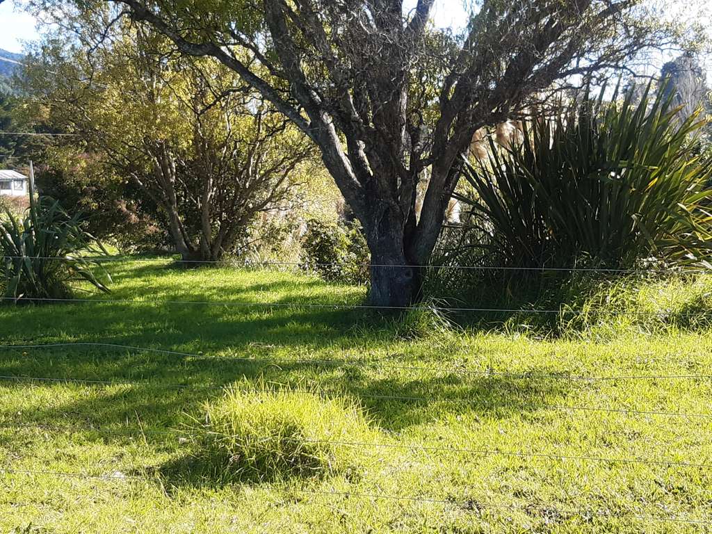 100万人民币在新西兰能买多大房子,100元能在新西兰买些什么