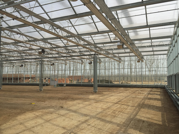 普通温室大棚一亩地造价多少,一亩全自动温室大棚要多少钱