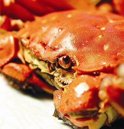 大闸蟹金秋蟹礼,秋风起蟹脚痒还是蟹脚肥