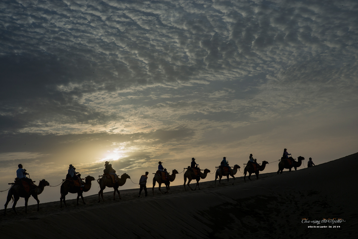 徕卡定焦镜头,徕卡m50镜头评测