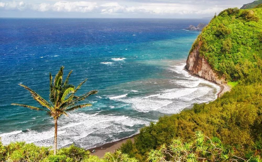 为什么一定要去夏威夷,为什么大家都去夏威夷