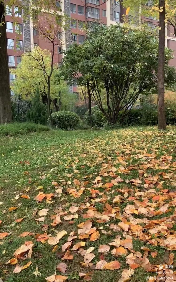 霜降粤语版,霜降粤语歌曲