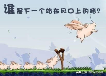 花生种免费经营模式,免费摘花生项目