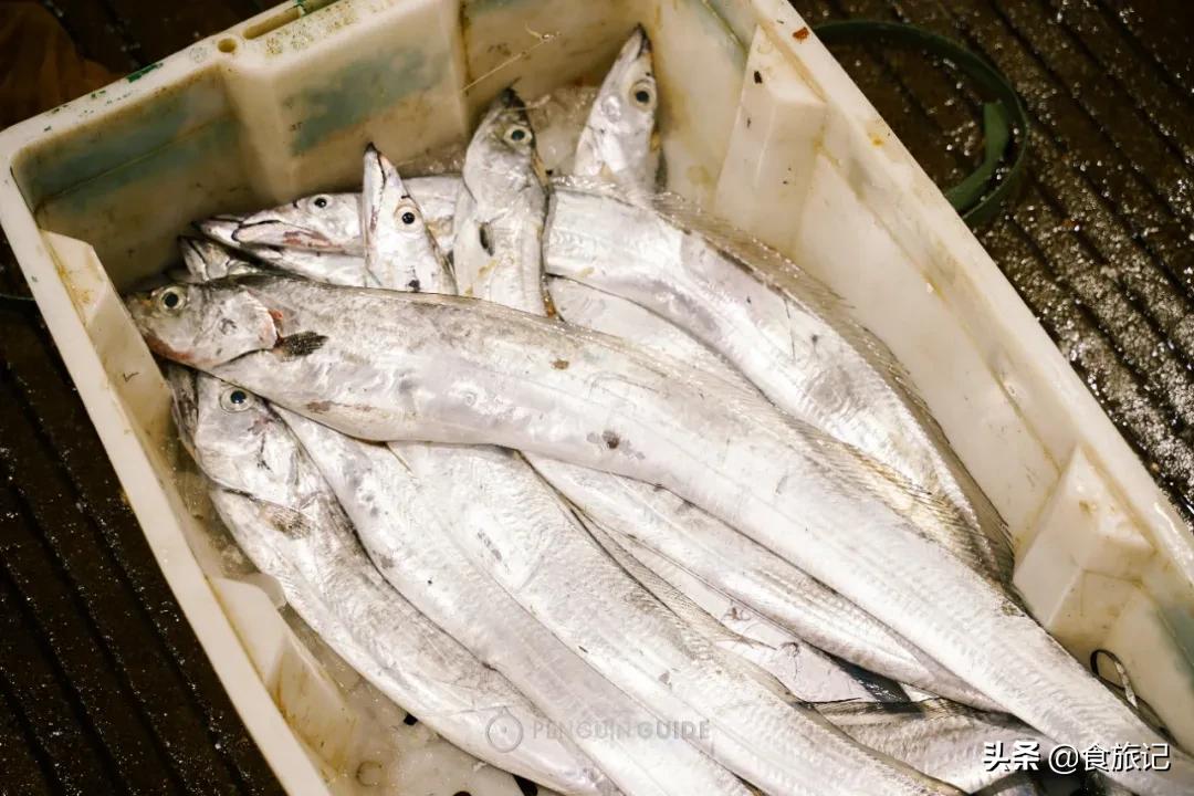 广州最大的海鲜水产批发市场,南京最大的水产批发市场在哪里