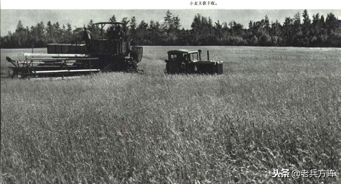 1973年人民画报:毛*东泽**时代工农和体育健儿