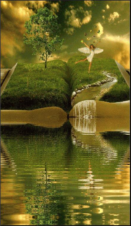 神秘的水中花,趣味神奇的水中花