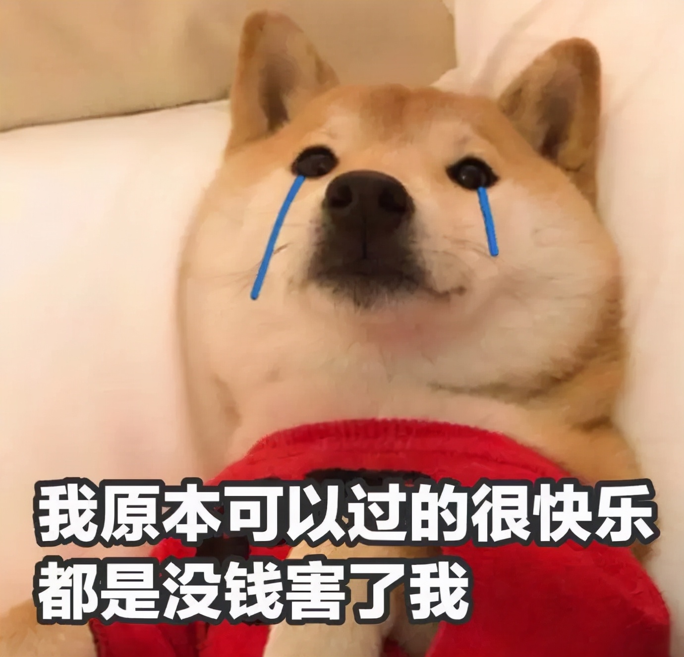 雪花秀精华小样都有什么,雪花秀安瓶精油小样