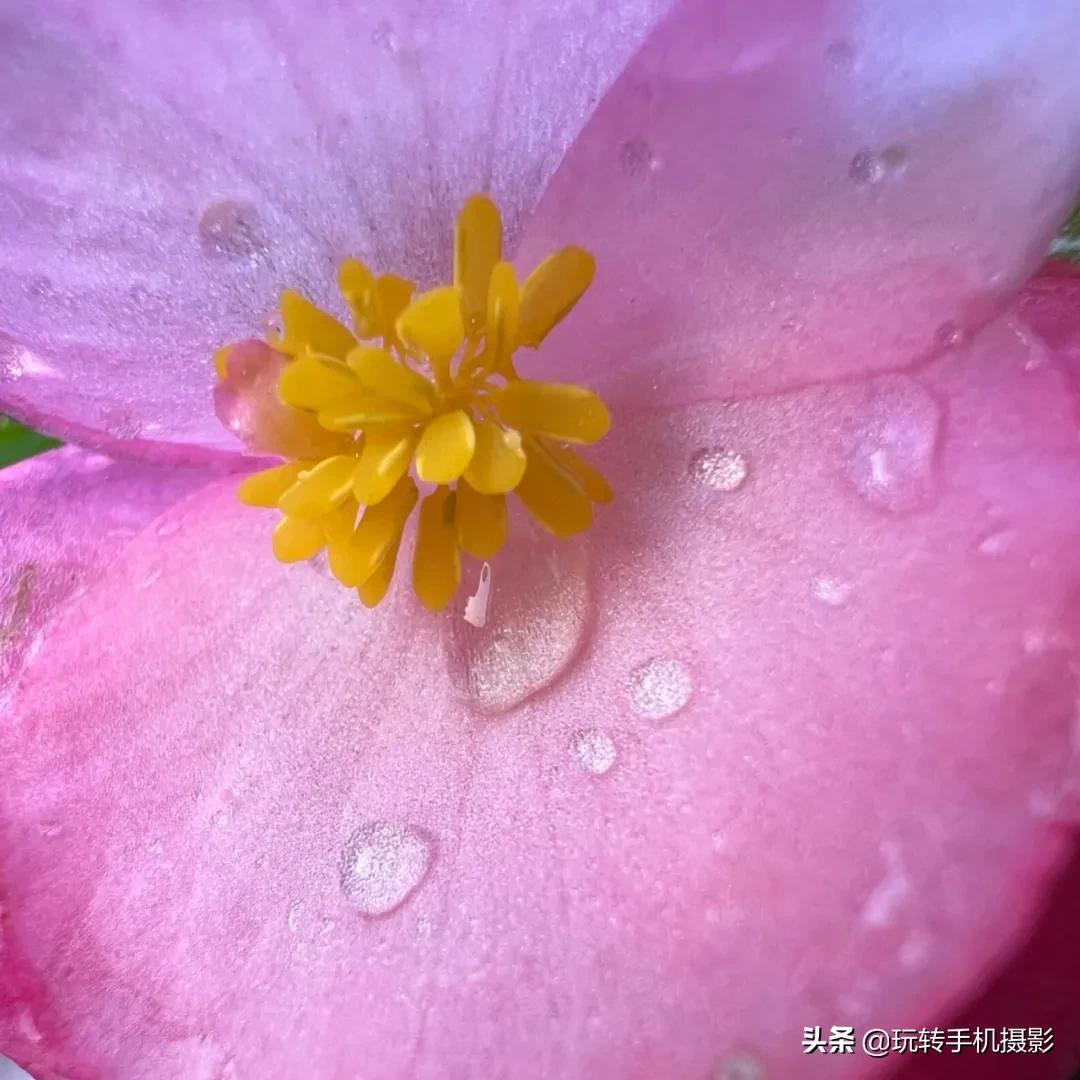 iphone13系列,iphone13原相机怎么拍照更好看