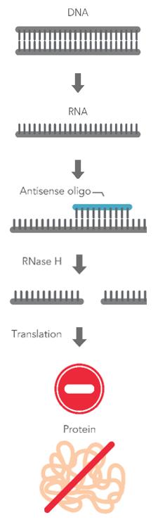 吉利德传奇：“人民的希望”如何面对历史的考验