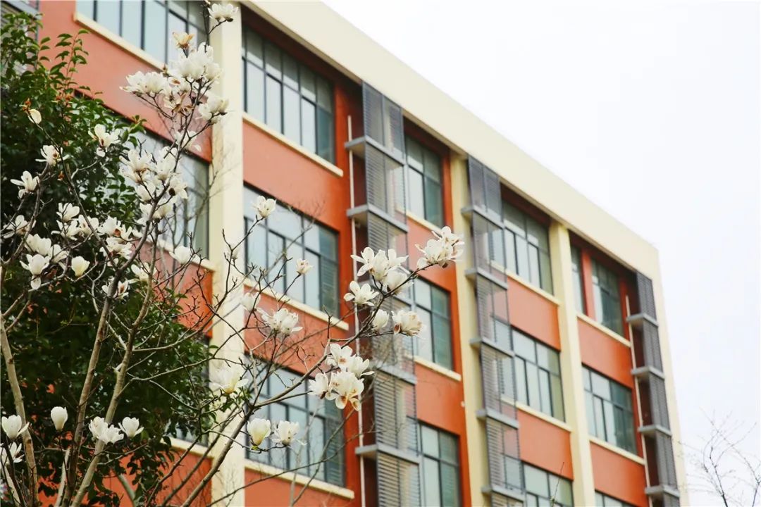 松江即将新建的重点学校,松江新增学校名单