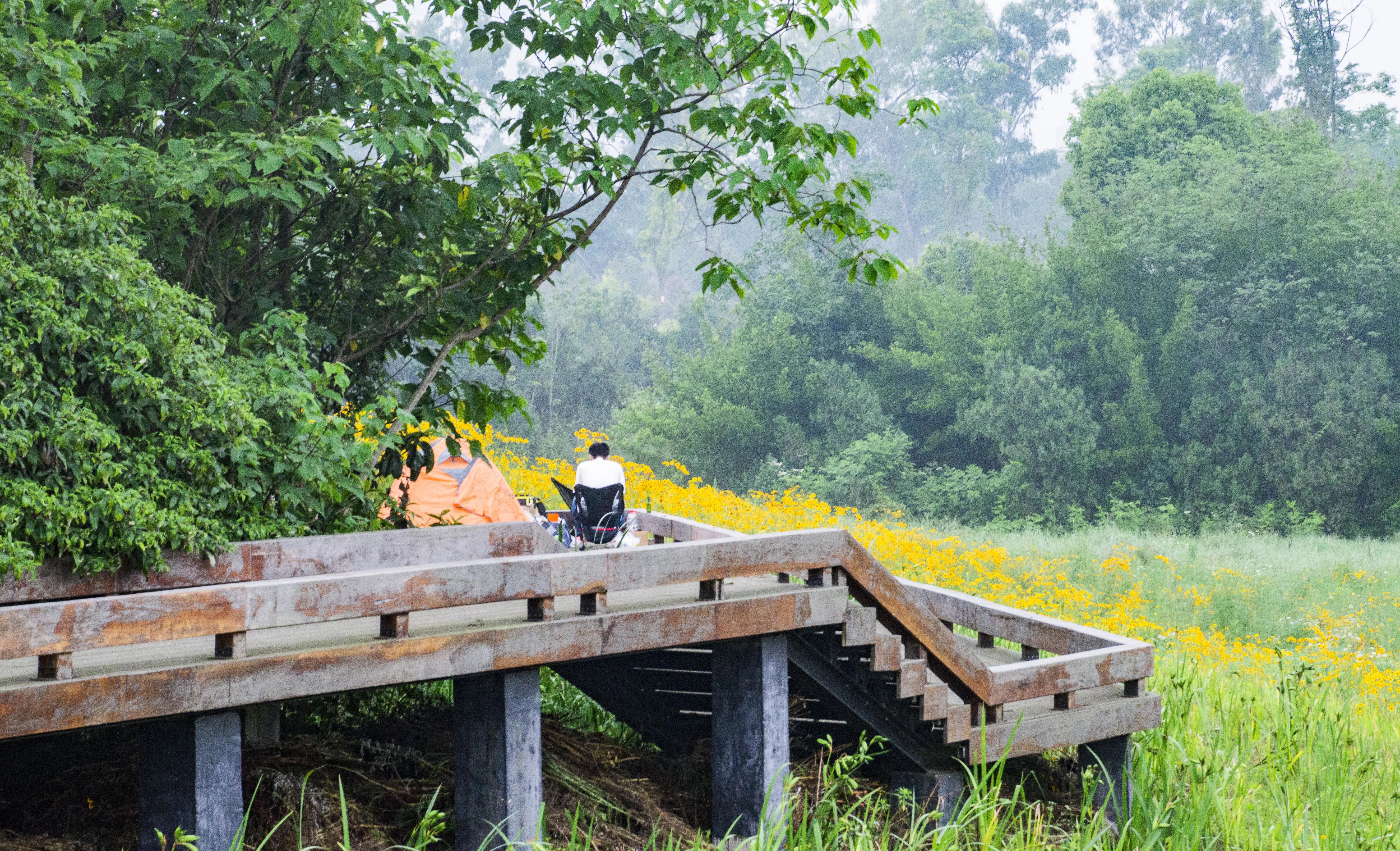 龙泉十陵航拍,龙泉驿区十陵