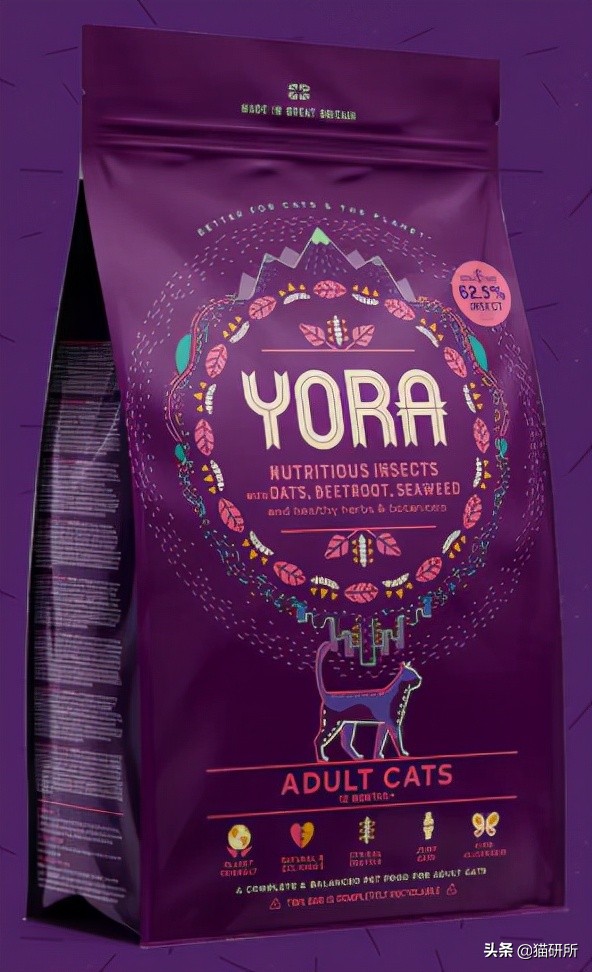 猫咪可以喂自制猫粮吗,用虫子做的食物