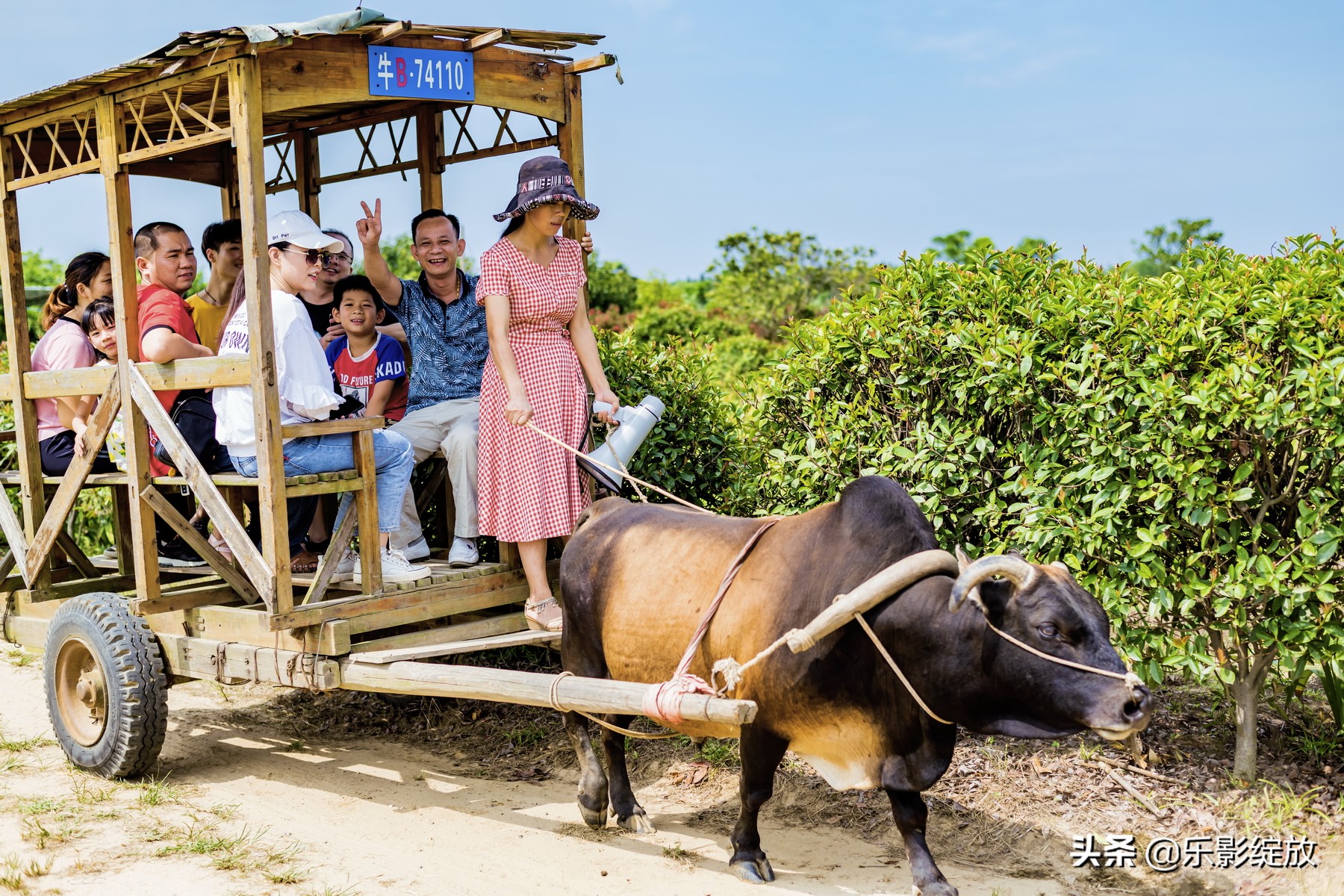 二十年相聚完整版,二十年再聚首