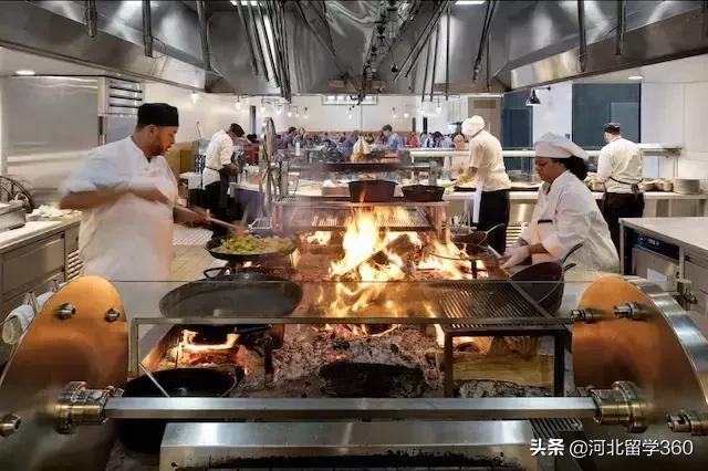 培养出苹果CEO的杜克是怎样一所大学？