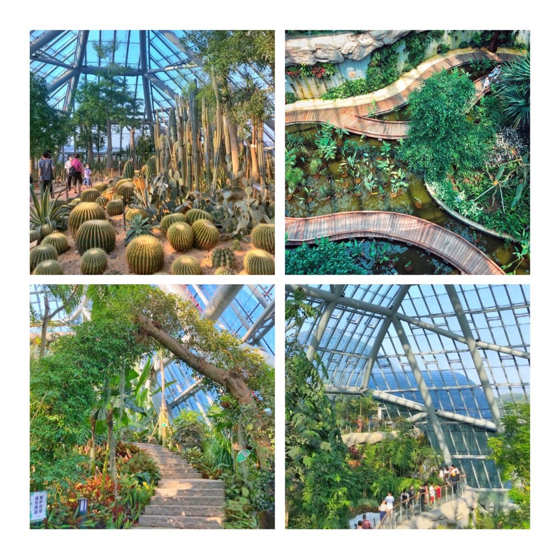 最新广东亲子游好玩的地方推荐,推荐广东亲子游好玩的地方