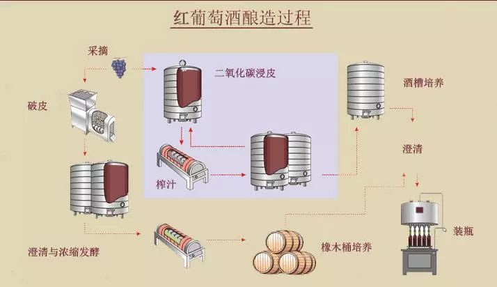 盘点各地大学的“奇葩”选修课,各大高校奇葩的选修课